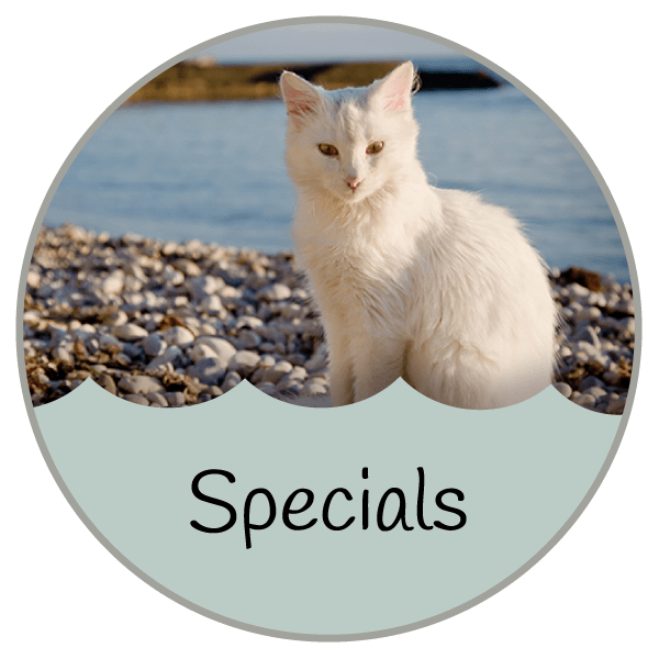 Veterinarian in Jacksonville Beach, FL Atlantic Beach Neptune Beach