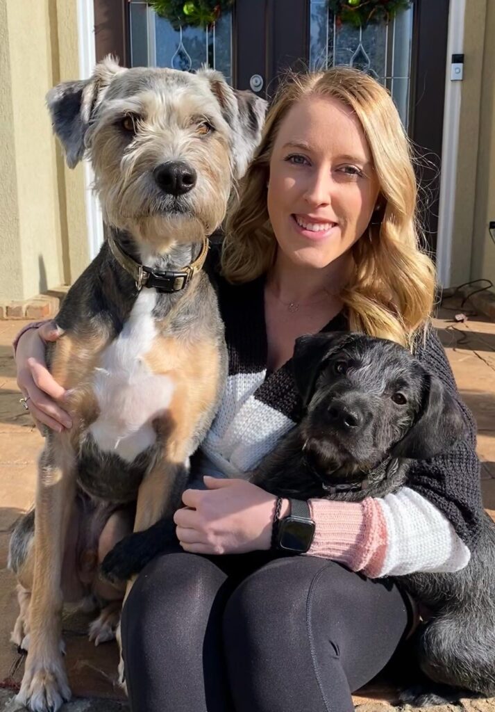 Meet Our Team Shoreline Veterinary Hospital