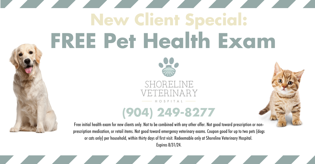 New Client Shoreline Veterinary Hospital